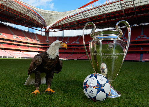 天气不只遮 天气不只遮